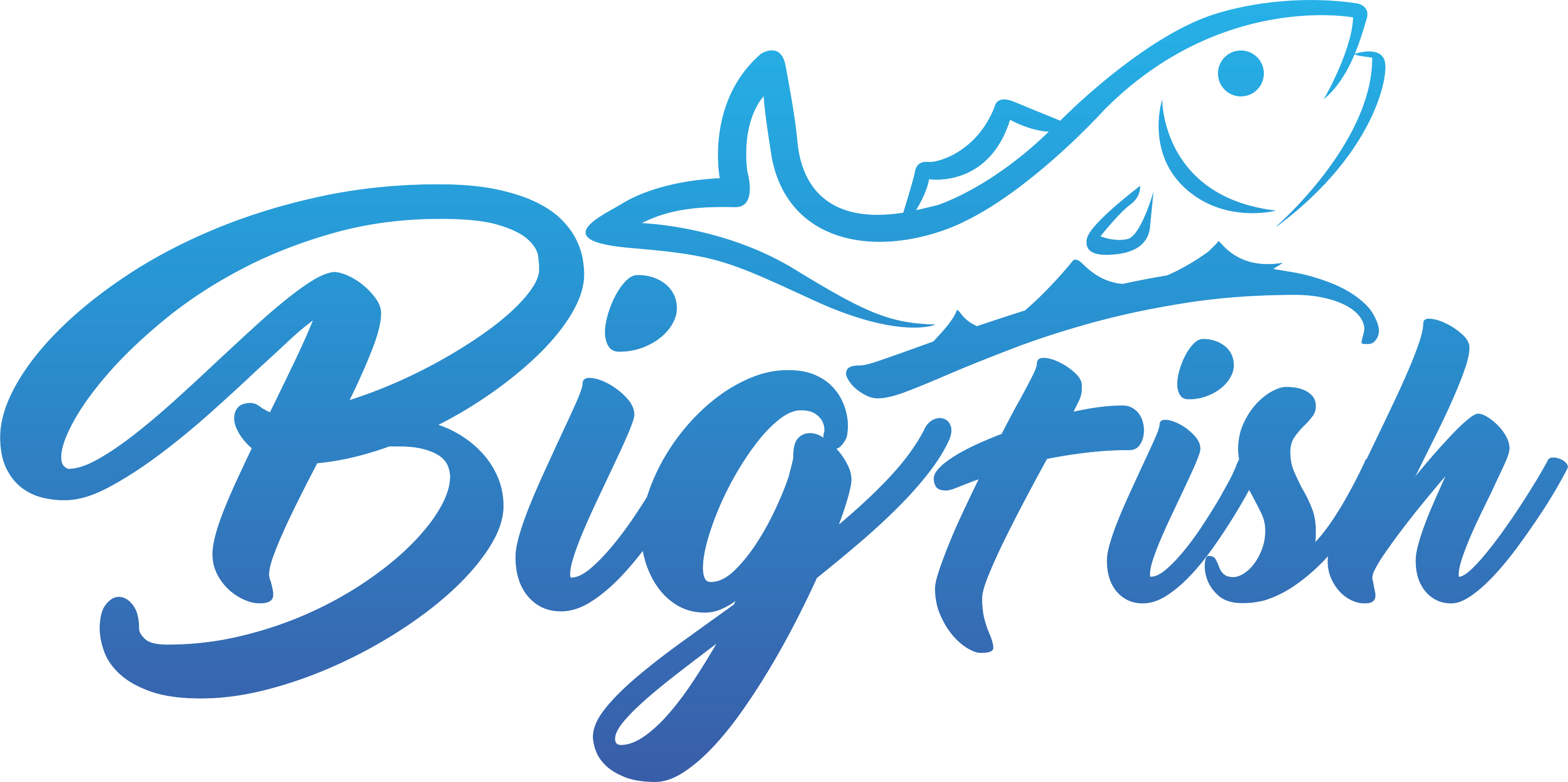 BigFish Logo